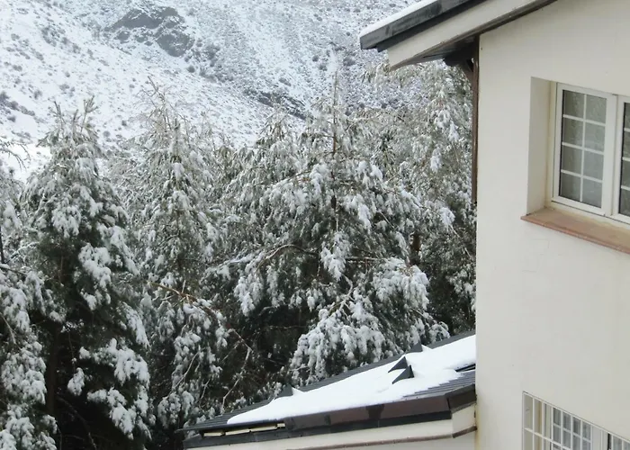 Studio Sueno Nevado Deluxe Ecomomic